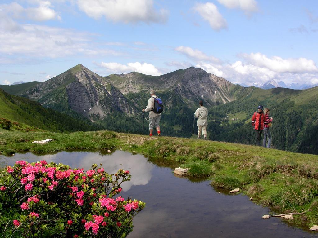 Ferienhaeuser Familie Hofer Stockenboi Weissensee エクステリア 写真